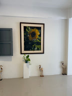 Hotel for Rent – 29 Rooms, Pratumnak Pattaya